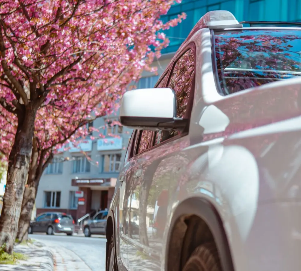 Das Auto frühlingsfit machen